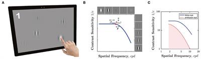 Can Psychophysics Be Fun? Exploring the Feasibility of a Gamified Contrast Sensitivity Function Measure in Amblyopic Children Aged 4–9 Years